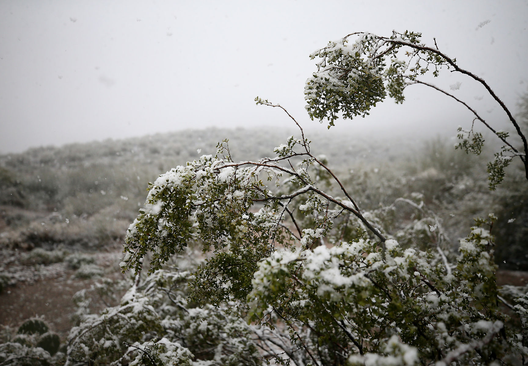Snow across Tucson